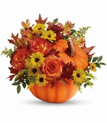 Fall Wishes Bouquet from Clermont Florist & Wine Shop, flower shop in Clermont